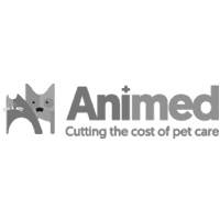 Animed Direct Case Study