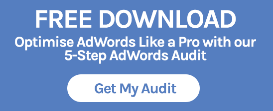 5-step AdWords Audit download banner